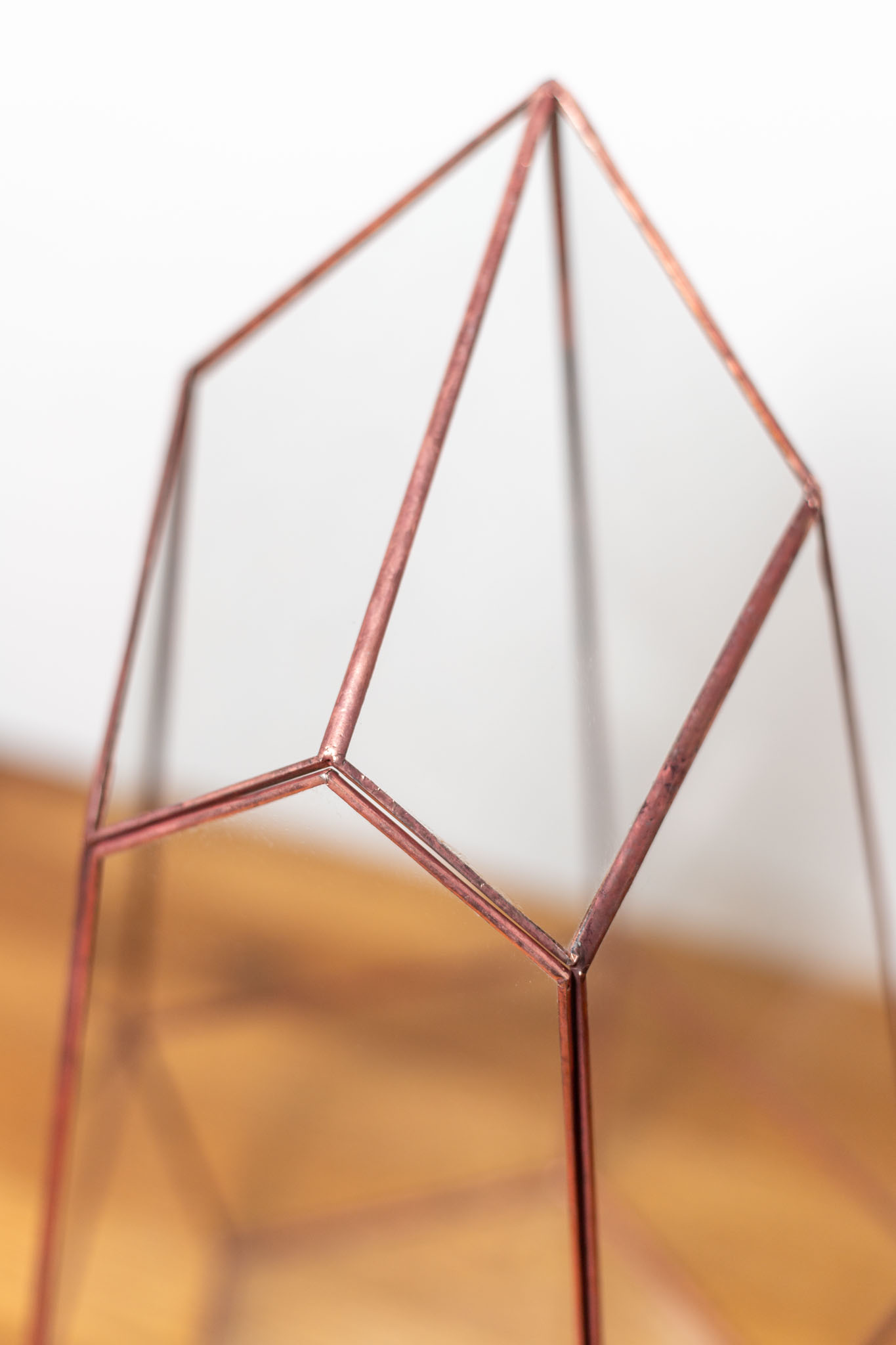 Geometric glass terrarium