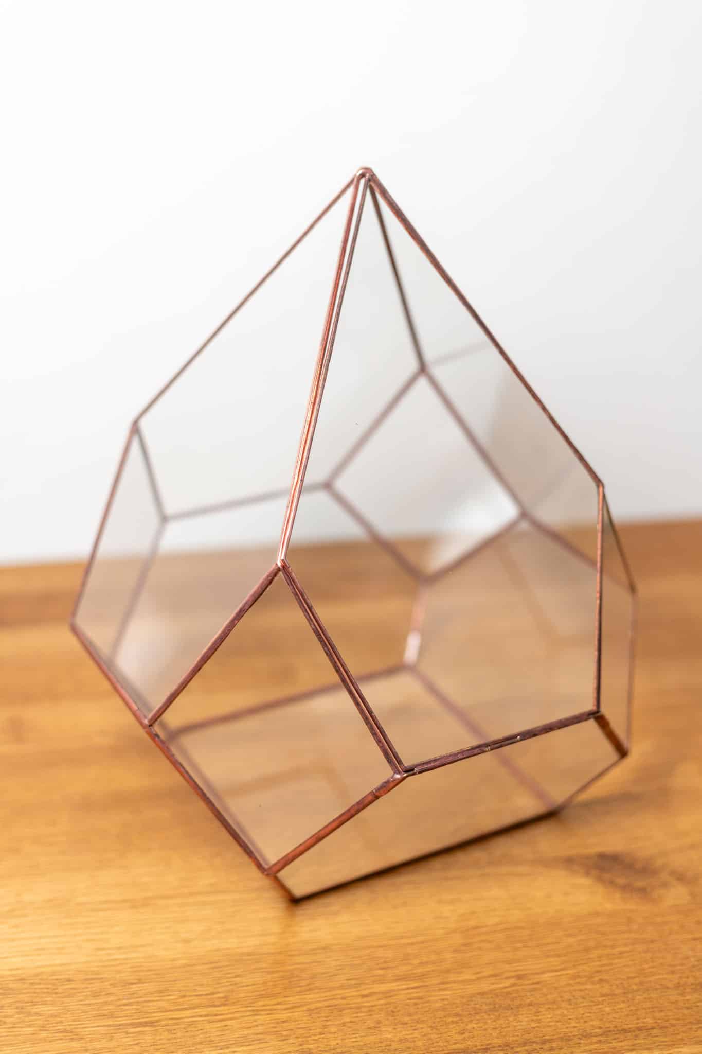 Geometric glass terrarium