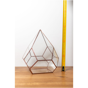 Handmade Glass Container Decor for Plants