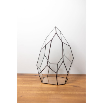 Geometric glass terrarium