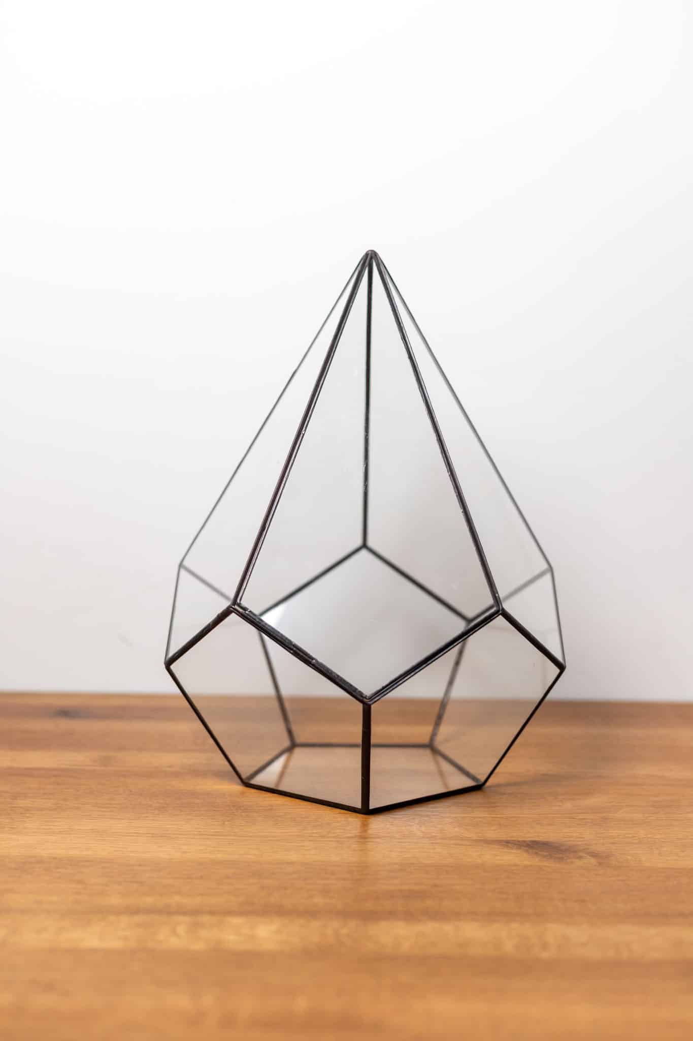 Handmade Glass Container Decor for Plants