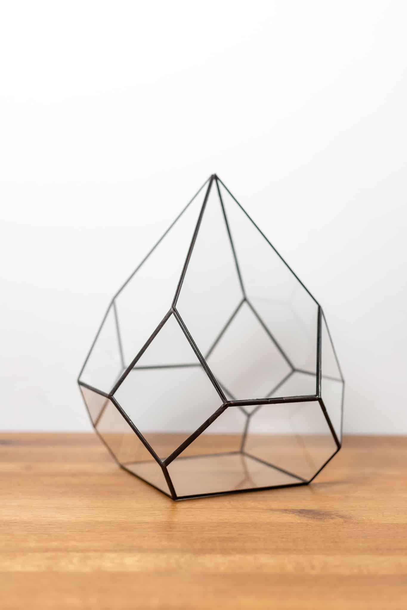 Geometric glass terrarium