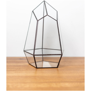 Handmade Glass Container Decor for Plants