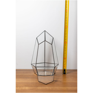 Handmade Glass Container Decor for Plants