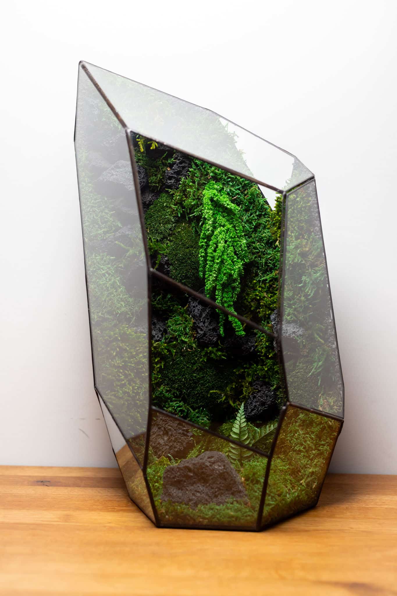 Preserved Moss Terrarium