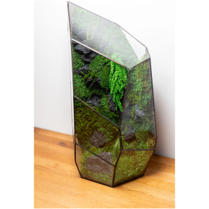 Zero Maintenance Moss Care Stabilized Terrarium Unique Gift