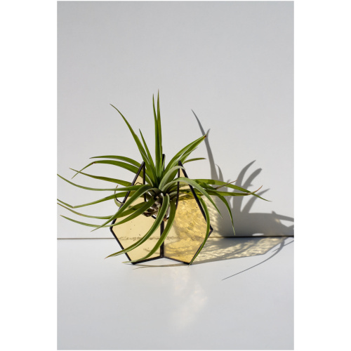 Handcrafted stained glass suncatcher stand with Tillandsia air plant by Duosglass