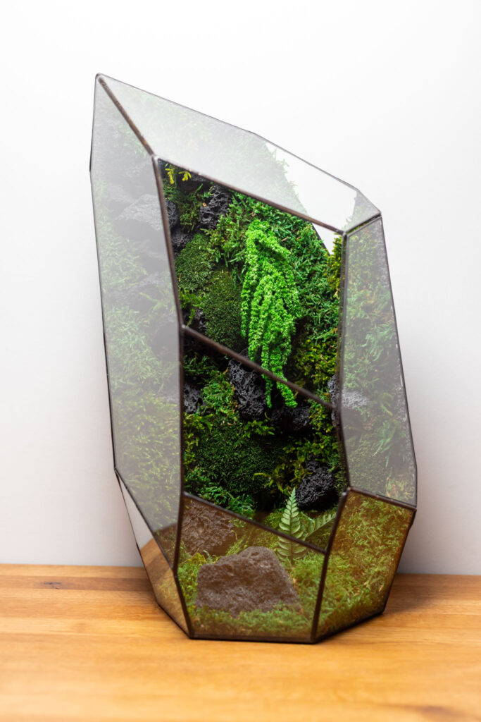 Black Hill Preserved Moss Terrarium – Low Maintenance, Nature-Inspired Decor