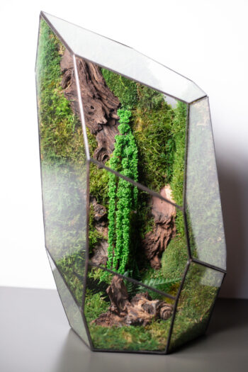 Black Hill Preserved Moss Terrarium – Low Maintenance, Nature-Inspired Decor