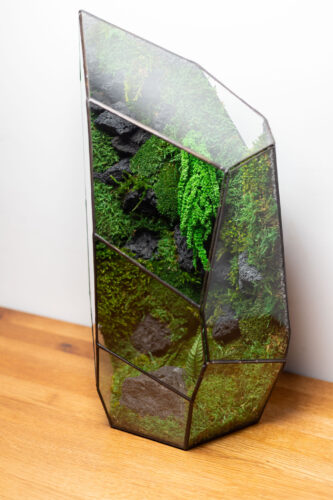 Black Hill Preserved Moss Terrarium – Low Maintenance, Nature-Inspired Decor