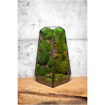 Low-Maintenance Preserved Moss Terrarium