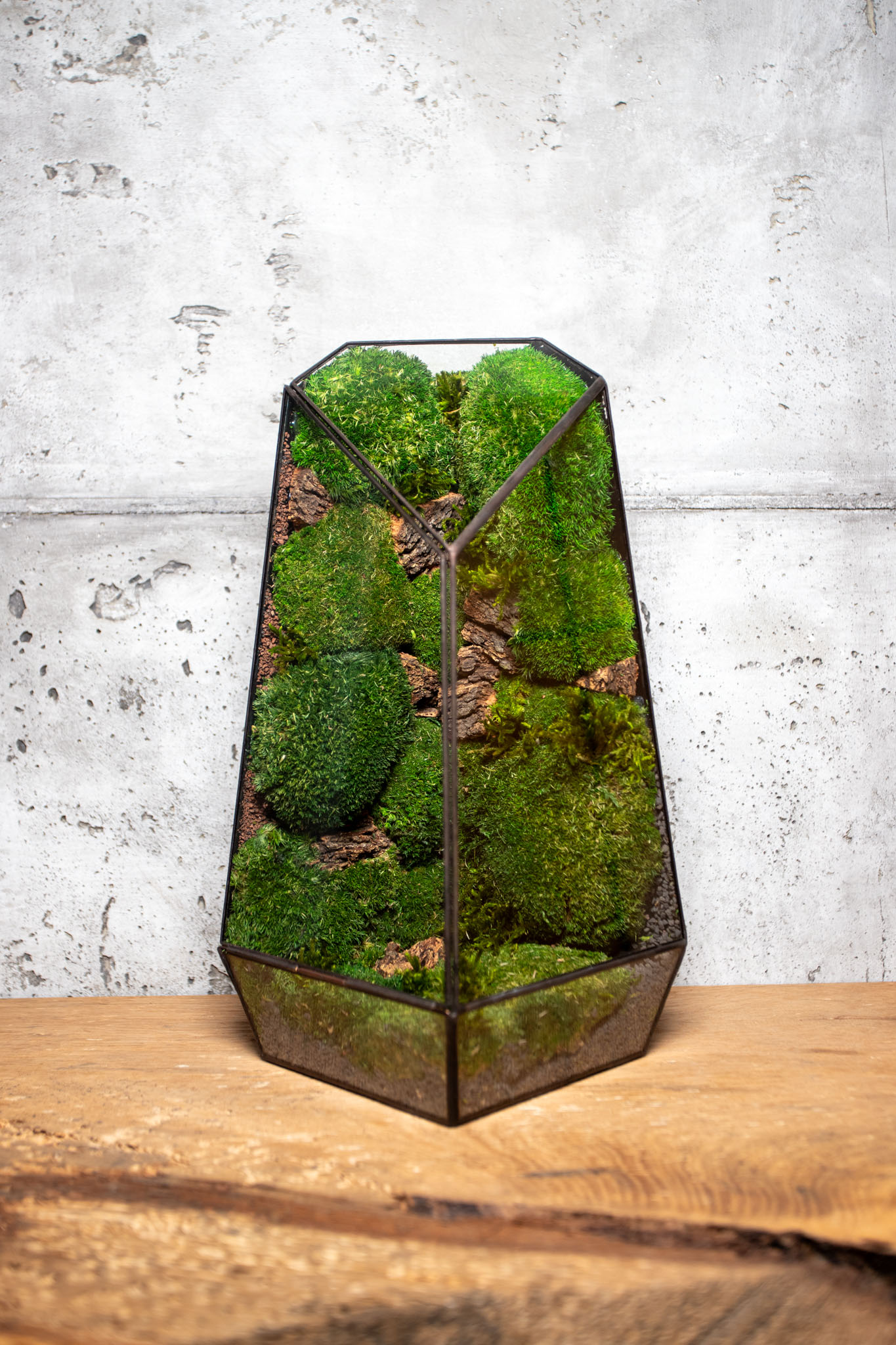Low-Maintenance Preserved Moss Terrarium