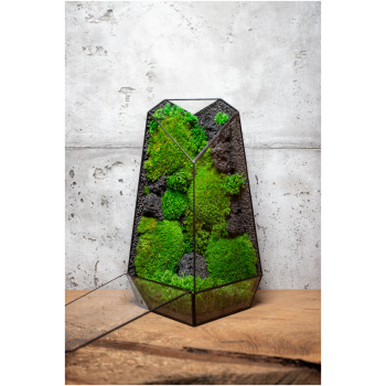 Low-Maintenance Preserved Moss Terrarium