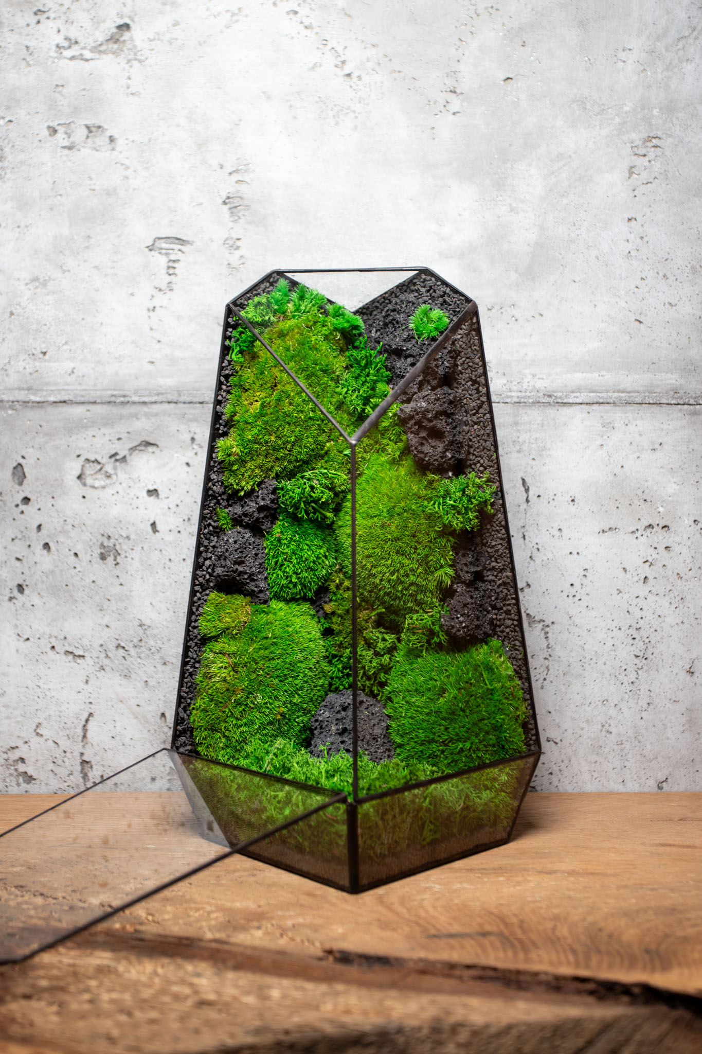 Low-Maintenance Preserved Moss Terrarium