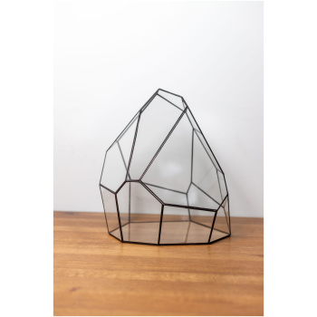 Handmade Glass Container Decor for Plants