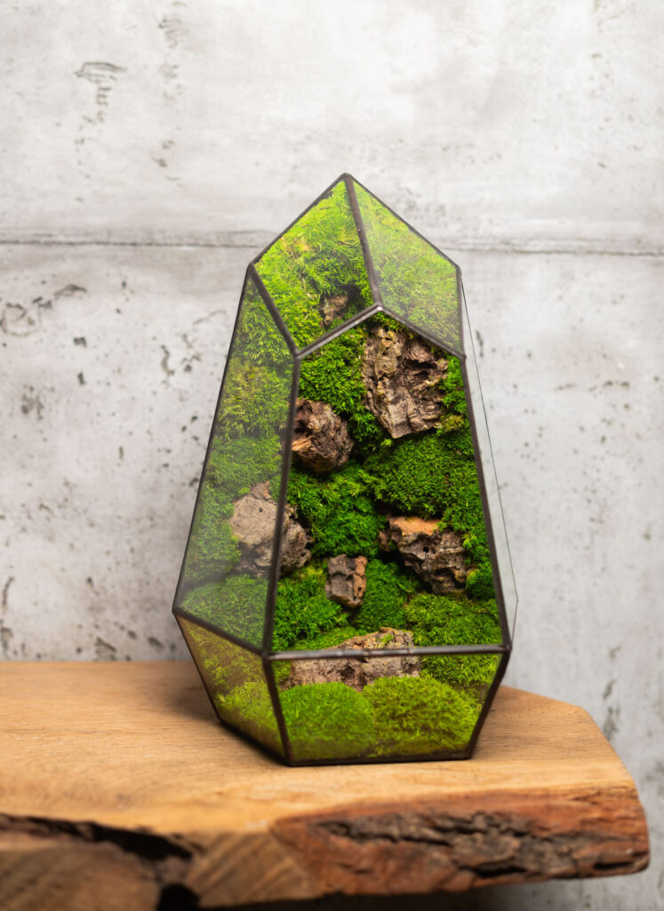 Stabilized moss home decor