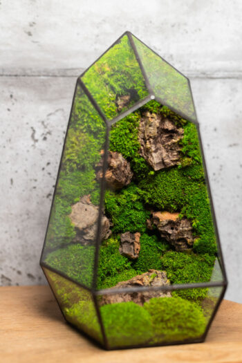 Stabilized moss home decor