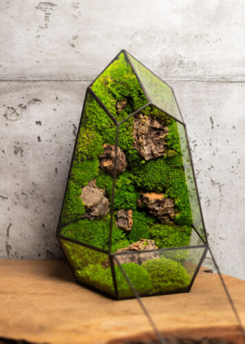 Stabilized moss home decor