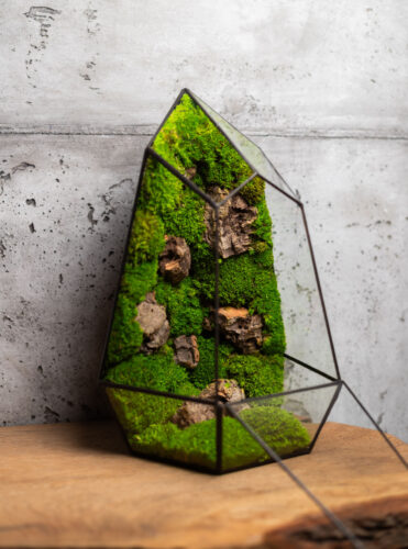 Stabilized moss home decor