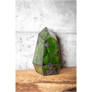 Stabilized Moss Home Decor