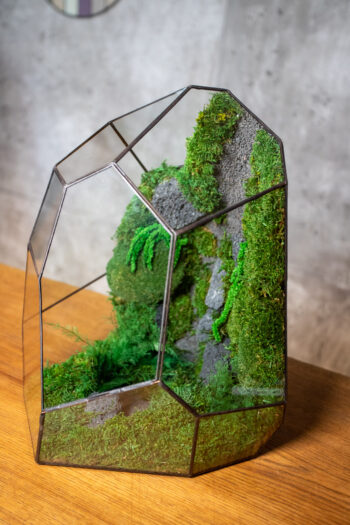 Zero moss terrarium MOONROCK