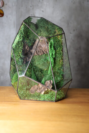 Zero moss terrarium "SWEET"