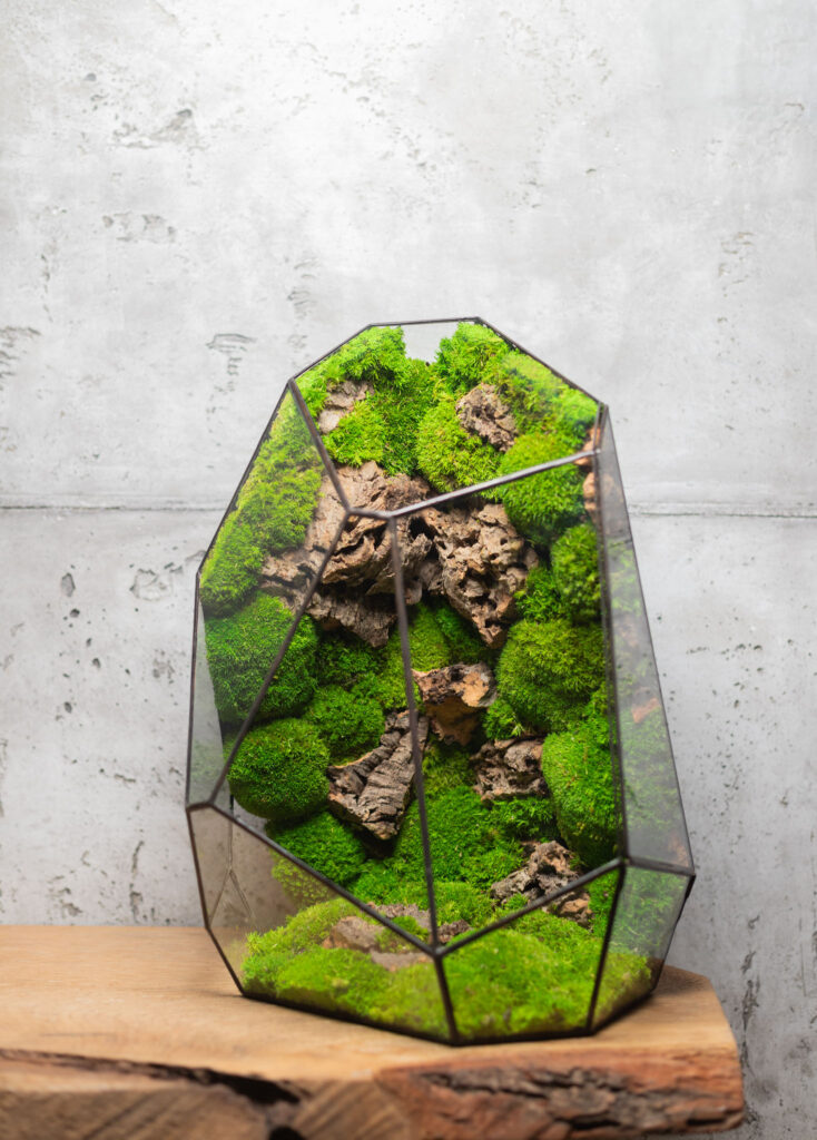 Handcrafted low-maintenance glass moss terrarium, preserved greenery