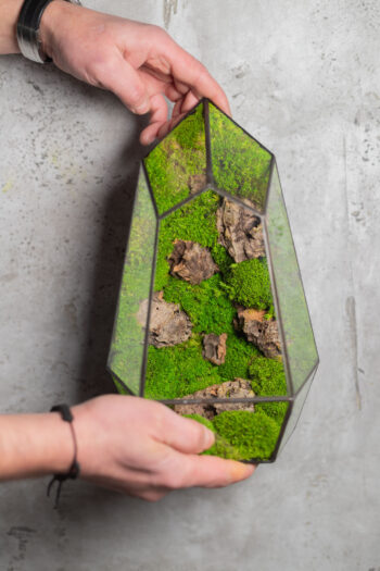 Small stabilized moss terrarium, low-maintenance glass decor, handmade nature-inspired home accent