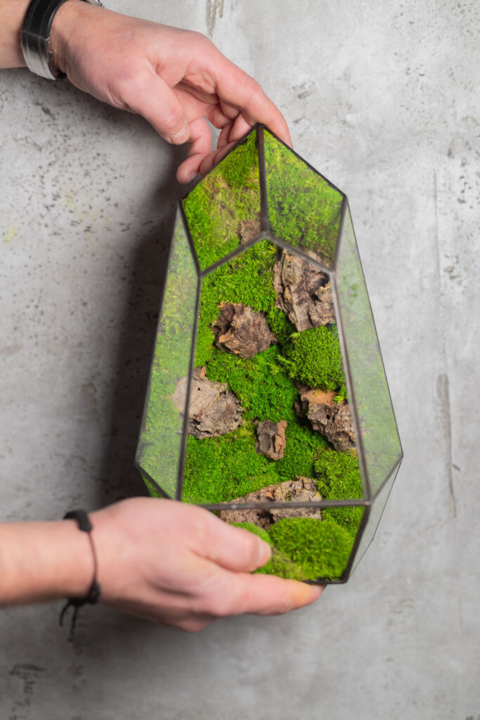 Small stabilized moss terrarium, low-maintenance glass decor, handmade nature-inspired home accent