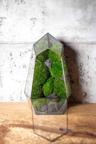 Small stabilized moss terrarium, low-maintenance glass decor, handmade nature-inspired home accent