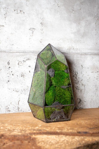 Small stabilized moss terrarium, low-maintenance glass decor, handmade nature-inspired home accent