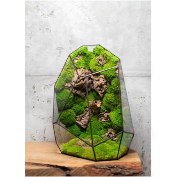 Handcrafted zero maintenance glass moss terrarium, preserved greenery
