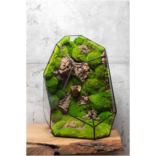 Handcrafted zero maintenance glass moss terrarium, preserved greenery
