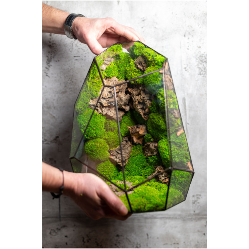 Handcrafted zero maintenance glass moss terrarium, preserved greenery