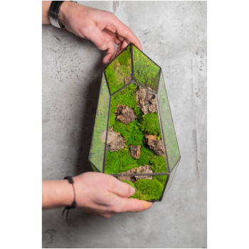 Small stabilized moss terrarium, maintenance-free glass decor, handmade nature-inspired home accent