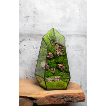 Small stabilized moss terrarium, maintenance-free glass decor, handmade nature-inspired home accent