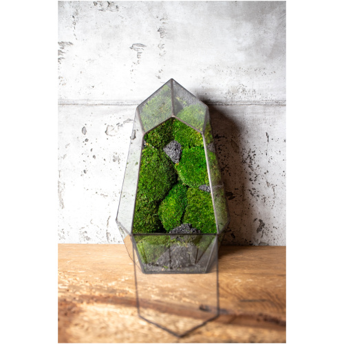 Small stabilized moss terrarium, maintenance-free glass decor, handmade nature-inspired home accent