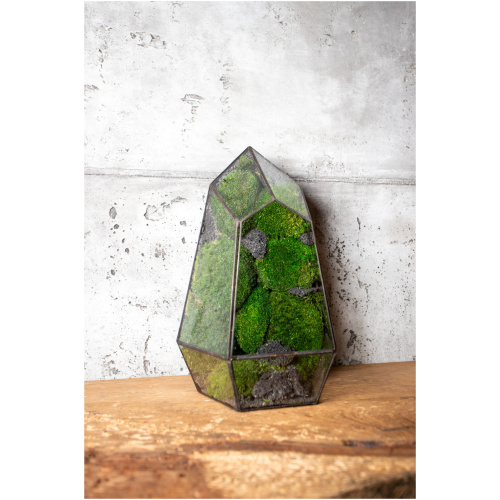 Small stabilized moss terrarium, maintenance-free glass decor, handmade nature-inspired home accent