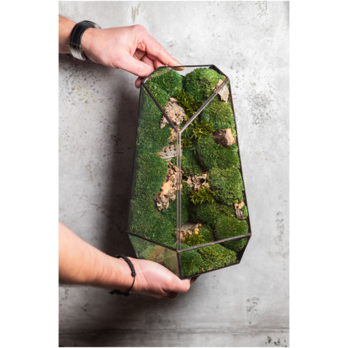 Small stabilized moss terrarium, maintenance-free glass decor, handmade nature-inspired home accent