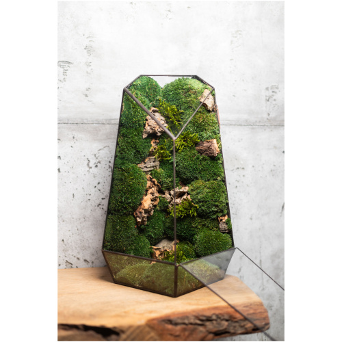 Small stabilized moss terrarium, maintenance-free glass decor, handmade nature-inspired home accent