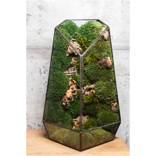 Small stabilized moss terrarium, maintenance-free glass decor, handmade nature-inspired home accent