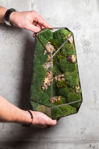 Stabilized handmade moss terrarium, low-maintenance nature-inspired home decor