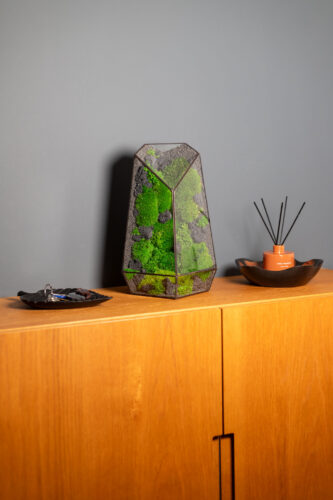 Stabilized handmade moss terrarium, low-maintenance nature-inspired home decor