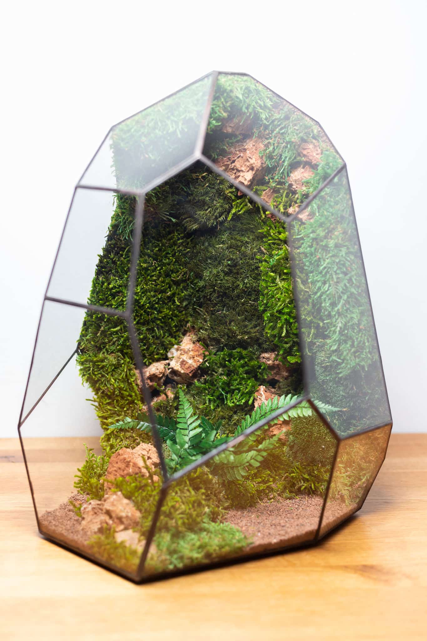 Modern Moss Terrarium Decoration