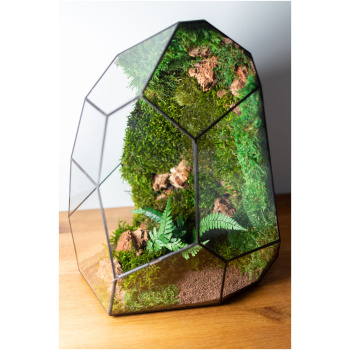 Modern Moss Terrarium Decoration