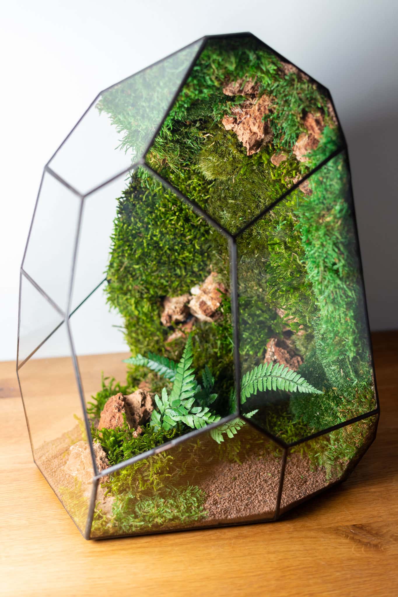 Modern Moss Terrarium Decoration