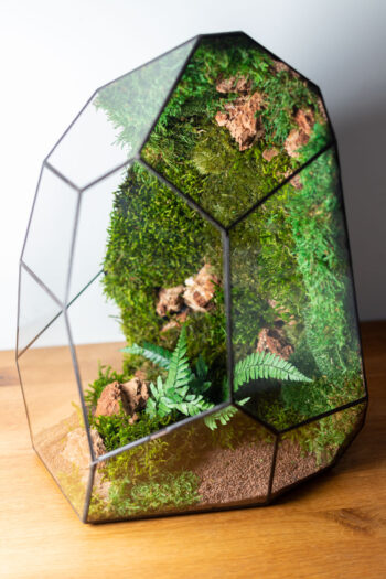 Low-maintenance glass moss terrarium, preserved greenery, handmade home decor