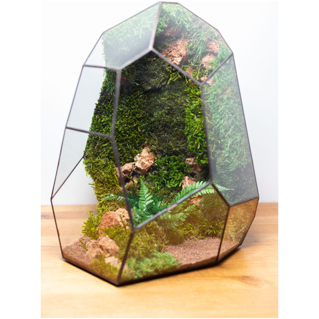 Modern maintenance-free moss terrarium decoration