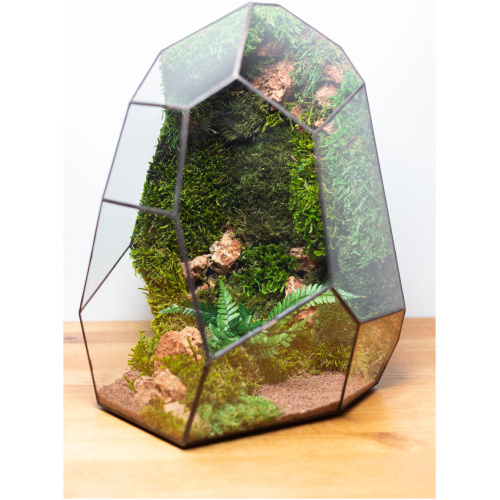 Modern maintenance-free moss terrarium decoration