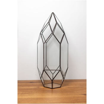 Glass plant terrarium